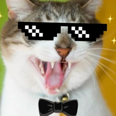 Аватар автора комментария