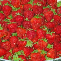 Аватар автора комментария