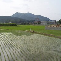 Аватар автора комментария