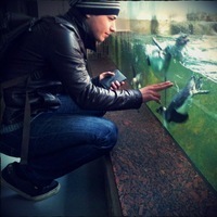 Аватар автора комментария