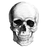 Аватар автора комментария