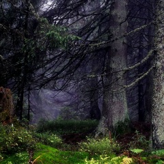 Аватар автора комментария