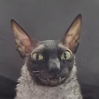 Аватар автора комментария