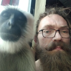 Аватар автора комментария