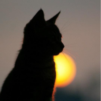 Аватар автора комментария