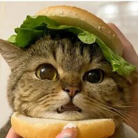 Аватар автора комментария