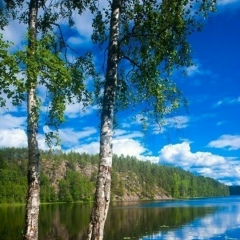 Аватар автора комментария