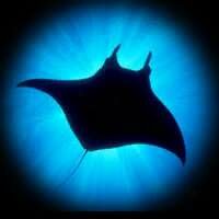 Аватар автора комментария