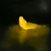 Аватар автора комментария