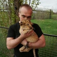 Аватар автора комментария