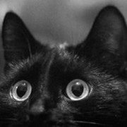 Аватар автора комментария